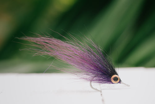 a closeup of the Peanut Butter tarpon fly in purple and black colorway