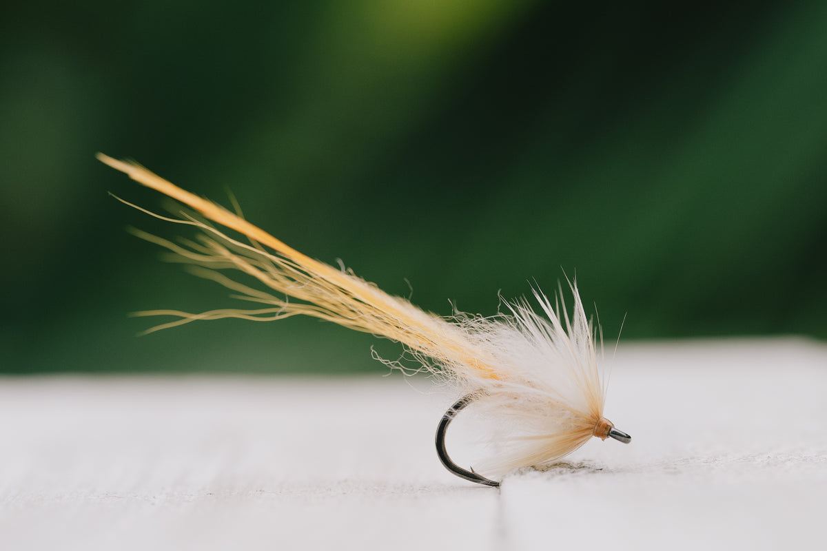 a closeup of the Worm tarpon fly in orangesicle colorway