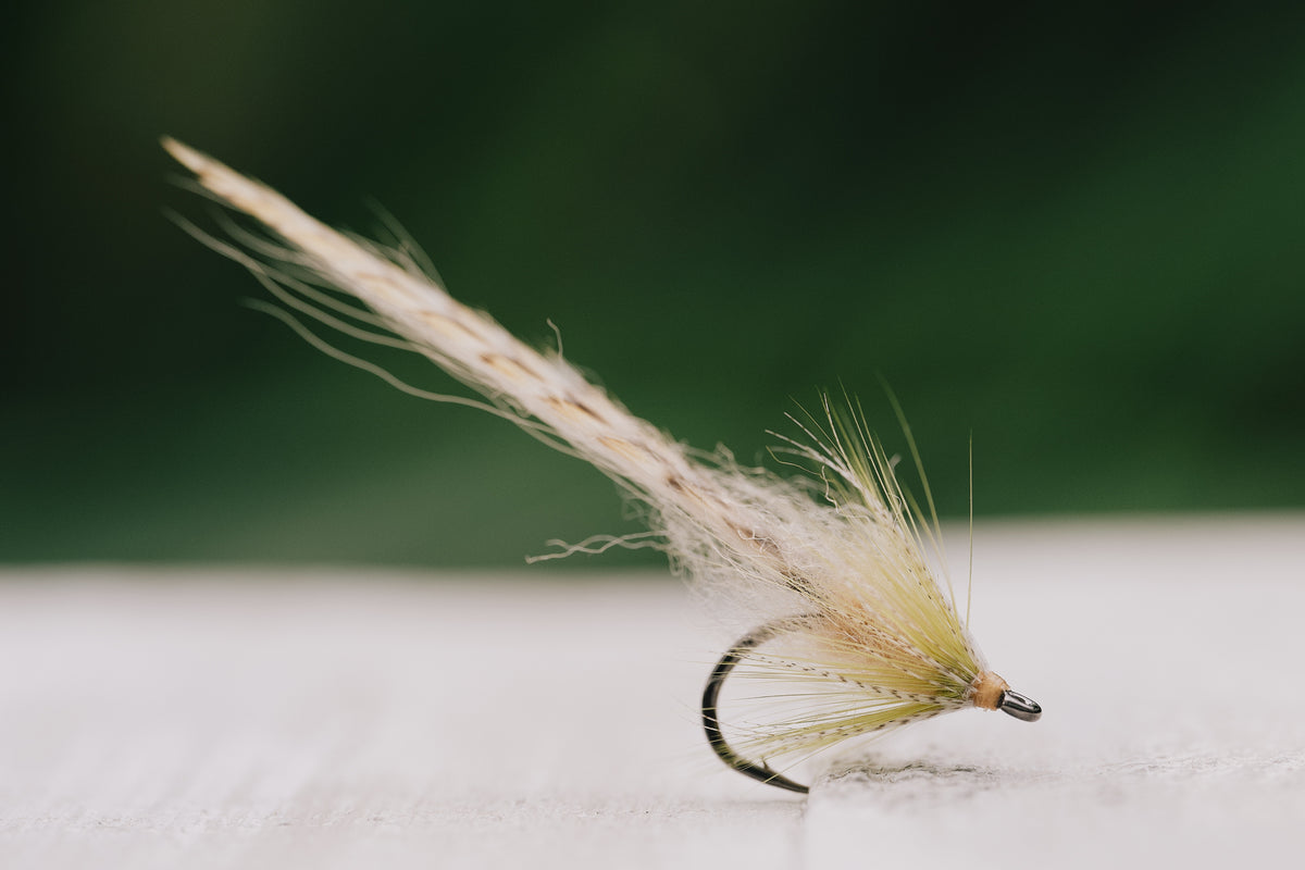 a closeup of the Worm tarpon fly in original colorway