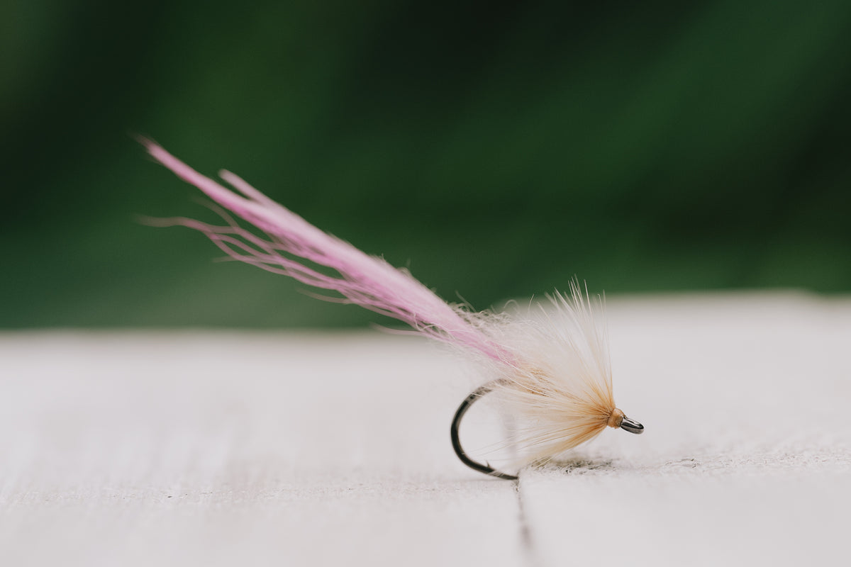 a closeup shot of the Worm tarpon fly in pink and tan colorway