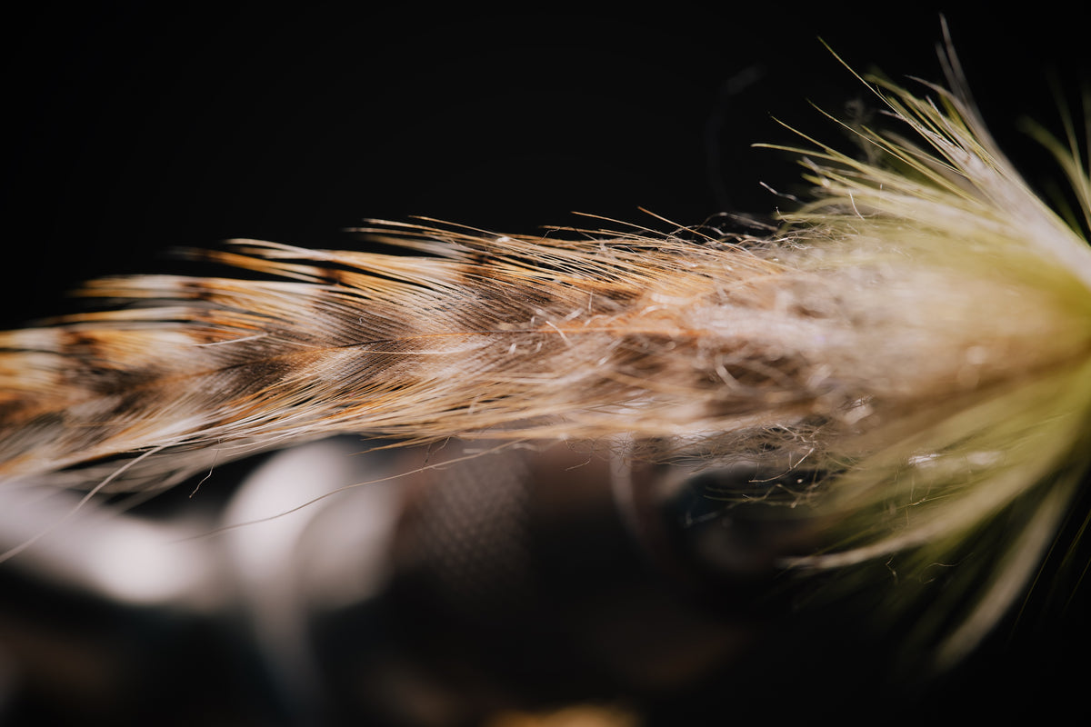 a close up look at the high quality hackle used in the Worm fly
